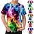 baratos camisetas 3d menino-Infantil Para Meninos Camisa Manga Curta Impressão 3D Gradiente Colorblock Verde Preto Crianças Blusas Primavera Verão Ativo Moda Diário Diário Interior Ao ar livre Normal 3-12 anos / Esportes