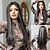 cheap Synthetic Lace Wigs-Synthetic Lace Wig Straight Style 26 inch Brown Middle Part 13x1 Lace Front Wig Women&#039;s Wig Black / Gray