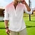 voordelige Hawaiiaans overhemd voor heren-Voor heren Overhemd Verloop Grafische prints Bladeren Opstaand Licht Roze Blozend Roze Rood blauw Licht Blauw Buiten Straat Lange mouw Afdrukken Kleding Modieus Streetwear Ontwerper Casual