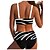 cheap Bikini Sets-Women&#039;s Swimwear Normal Bikini Bathing Suits 2 Piece Swimsuit Zebra 2 Piece Printing Black Bathing Suits Beach Wear Summer Sports