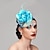 cheap Fascinators-Fascinators / Hats / Headwear with Floral 1PC Special Occasion / Ladies Day / Melbourne Cup Headpiece