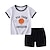 billige Sæt-2 Dele Baby Drenge T-shirt &amp; Shorts Outfit Tegneserie Kortærmet Bomuld Sæt Skole Yndig Daglig Sommer Forår 3-7 år