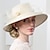 ieftine Pălării Party-pălării pălărie din fibră plasă pălărie de paie pălărie de soare pălărie cloche petrecere de ceai ocazională nuntă elegantă cu dantelă cu fundă laterală căciulă pentru cap