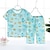 baratos Pijamas-Bébé Para Meninos 2 Peças Conjuntos de pijama Manga Curta Branco Rosa Azul Marinha Animal Desenho Animado Crewneck Verão Primavera Básico Casa 3-7 anos