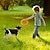 voordelige Kattenspeeltjes-hondenspeelgoed voor grote honden eva interactieve training ringtrekker resistent voor honden huisdier vliegende schijven bijtring speelgoed voor kleine hond