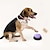 זול אילוף כלבים-כפתור תקשורת לחיות מחמד כלב תיבת קול אימון דיבור צעצוע הקלטת רמקול ללחוץ קול תיבת