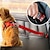 abordables Collares, arneses y correas para perros-cinturón de seguridad retráctil para perros cinturón de seguridad para autos para mascotas hebilla de seguridad para autos para perros
