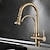 cheap Pullout Spray-Kitchen faucet - Two Handles One Hole Electroplated / Painted Finishes Pull-out / Pull-down / Tall / High Arc / Purified water Centerset Modern Contemporary Kitchen Taps