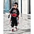 levne Sady-dětská unisex mikina s kapucí &amp; kalhoty sada oblečení 2 kusy dlouhý rukáv černý dopis bavlna pouliční dovolená móda pouliční styl 3-13 let