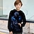 cheap Boy&#039;s 3D Hoodies&amp;Sweatshirts-Boys 3D Graphic Hoodie Long Sleeve 3D Print Spring Fall Winter Daily Polyester Kids 3-12 Years School Outdoor Regular Fit