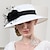 cheap Fascinators-Fascinators Kentucky Derby Hat Fiber Bowler / Cloche Hat Straw Hat Sun Hat Wedding Evening Party Elegant Sun Protection With Feather Floral Headpiece Headwear