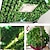 お買い得  人工観葉植物-12 個 200 センチメートルホット人工植物籐クリーパーグリーンリーフアイビーつる家庭用結婚式の装飾卸売 diy ハンギングガーランド造花