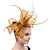economico Fascinator-fascinators berretto Accessori per capelli sinamay Formale Kentucky Derby Corsa di cavalli Festa delle donne cocktail Glamour Vintage Elegante Con Piume Copricapo Copricapo