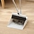 Χαμηλού Κόστους Είδη καθαριότητας-1 σετ/2 τμχ σετ σκουπας και κουπόνι για το σπίτι, όρθιο σετ συνδυασμού σκουπιδιών και σκουπών, τρίχες κατοικίδιων από ξύλινο πάτωμα κουζίνας γραφείου, είδη καθαρισμού για δώρο οικιακής χρήσης