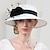 cheap Fascinators-Fascinators Kentucky Derby Hat Fiber Bowler / Cloche Hat Straw Hat Sun Hat Wedding Evening Party Elegant Sun Protection With Feather Floral Headpiece Headwear