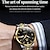 זול שעונים מכאניים-olevs שעון מכני לגברים מינימליסטי ספורט אנלוגי שעון יד מואר לוח שנה תאריך שבוע אוטומטי שעון מכני עסקי שעון פלדה עמיד למים