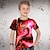 preiswerte 3D-T-Shirts für Jungen-Jungen 3D Graphic Tier Drache T-Shirt Kurzarm 3D-Druck Sommer Frühling Aktiv Sport Modisch Polyester kinderkleidung 3-12 Jahre Outdoor Casual Täglich Regular Fit