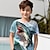 preiswerte 3D-T-Shirts für Jungen-Jungen 3D Graphic Tier Hai T-Shirt Kurzarm 3D-Druck Sommer Frühling Aktiv Sport Modisch Polyester kinderkleidung 3-12 Jahre Outdoor Casual Täglich Regular Fit