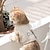 voordelige Hondenhalsbanden, tuigjes &amp; riemen-kat trekkoord anti release kattenriem all-season ademende borstriem voor huisdieren uitgaan voor een wandeling kattentouw hondentouw