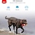 Χαμηλού Κόστους Εκπαίδευση για Σκύλους &amp; Συμπεριφορά-400m κολάρο εκπαίδευσης σκύλων αδιάβροχο εκπαιδευτή σκύλων επαναφορτιζόμενο τηλεχειριστήριο έξυπνο ηλεκτρικό κολάρο σκύλου