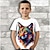 baratos camisetas 3d menino-Para Meninos 3D Gráfico Animal Panda Camisa Camiseta Manga Curta Impressão 3D Verão Primavera Ativo Esportes Moda Poliéster Infantil 3-12 anos Ao ar livre Casual Diário Normal