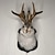 Недорогие настенные скульптуры-Настенный декор кролика jackalope, последняя легенда о рогах, настенное крепление из искусственной смолы кролика, украшение для головы образца имитации