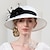 halpa Juhlahatut-fascinators kentucky derby hattu kuitu bowler / cloche hattu olkihattu aurinkohattu hääiltajuhla tyylikäs aurinkosuoja höyhen kukkainen päähine