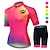 abordables Ensembles de vêtements pour femmes-Femme Maillot et Cuissard Velo Cyclisme Manche Courte VTT Vélo tout terrain Vélo Route Rose Rouge Bleu Graphic Chat Dégradé Vélo Séchage rapide Evacuation de l&#039;humidité Spandex Des sports Graphic