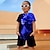 ieftine seturi 3d pentru băiat-Băieți 3D Grafic Animal Leu Tricou și Pantaloni scurți Set tricouri Set de îmbrăcăminte Manșon scurt Imprimeuri 3D Vară Primăvară Activ Sport Modă Poliester Copii 3-13 ani În aer liber Stradă Vacanță