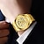 preiswerte Mechanische Uhren-FNGEEN Herren Mechanische Uhr Minimalistisch Luxus Modisch Geschäftlich Automatikaufzug WASSERDICHT Dekoration Edelstahl Lederband Beobachten