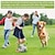 cheap Dog Toys-Dog Toys Soccer Ball Dog Toys For Tug Of War Dog Water Toy Durable Dog Balls Interactive Dog Toy