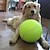abordables Jouets pour chiens-Le lanceur de balles de tennis pour animaux de compagnie de 24 cm/9,5 pouces est le jouet interactif parfait pour dresser votre chien !