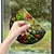cheap Window Films-Window Sticker, Home Wall Decor Colorful Hummingbird Stickers Removable Static Decorative Anti-collision Stickers