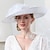 זול כובע מסיבות-כובעים כובע שמש פשתן כובע כובע סינמאי כובע חתונה חוף בריטית אלגנטית עם כיסוי ראש טול פרחוני