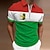 voordelige 3D-ritspolo-Voor heren POLO Shirt Golfshirt Gestreept Strijkijzer Wit Geel Rood Groen 3D-afdrukken Casual Dagelijks Korte mouw Vetoketju Afdrukken Kleding Modieus Ontwerper Casual Ademend