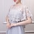 cheap Cape-Women&#039;s Wrap Cape Vintage Elegant Sleeveless Polyester Wedding Wraps With Lace For Wedding Summer