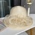 ieftine Pălării Party-Palarie Ornamente de Cap Tul Paie Clop Floppy Paie Căciulă Casual Concediu Epocă Elegant Cu Culoare Pură Partea Dantela Diadema Articole Pentru Cap