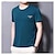 levne Pánská trička pro volný čas-Pánské Tričko Bez vzoru Tričkový Sport Dovolená Krátký rukáv Oblečení Na běžné nošení Pohodlné