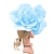 abordables Chapeaux et coiffes-Fascinateurs Fibre synthétique Halloween Derby kentucky Marrant Protection Solaire Avec Fleur Casque Couvre-chef