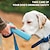 preiswerte Picknick- und Campingzubehör-Tragbarer 550-ml-Wasserflaschenspender für Hunde [auslaufsicher &amp; faltbar] Reise-Wasserflaschennapf für Hunde, Zubehör für Welpen, kleine, mittelgroße Hunde, Haustier-Wasserflaschen für Hunde, die im