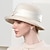 voordelige Feesthoeden-hoeden bolhoed / cloche hoed emmerhoed strohoed casual vakantie klassiek zonbescherming met strikband hoofddeksel hoofddeksel