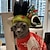 tanie Kostiumy-Psy Koty Bandany i kapelusiki Moda Nowoczesne Zima Miękka Zmywalny Wygodny Halloween Na zewnątrz Codzienne Ubranka dla psów for Bichon frise Szpic miniaturowy szczeniaków i młodych kotów Motyl Small