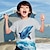 cheap Boy&#039;s 3D T-shirts-Boys 3D Graphic Animal T shirt Tee Short Sleeve 3D Print Summer Spring Active Sports Fashion Polyester Kids 3-12 Years Outdoor Casual Daily Regular Fit
