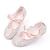 cheap Girls&#039; Shoes-Girls&#039; Flats Daily Dress Shoes Princess Shoes School Shoes Glitter Portable Breathability Non-slipping Princess Shoes Little Kids(4-7ys) Toddler(2-4ys) Daily Prom Walking Shoes Bowknot Buckle Silver