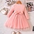 cheap Dresses-Kids Girls&#039; Dress Sweater Dress Floral Long Sleeve Outdoor Mesh Embroidered Fashion Cute Streetwear Cotton Knee-length Sweater Dress Knit Dress Casual Dress Spring Fall 3-7 Years Pink