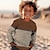 billige drenges 3d hættetrøjer og sweatshirts-Drenge 3D Grafisk Geometrisk Farveblok Sweatshirt Langærmet 3D-udskrivning Sommer Efterår Årgang 3D-tryk Designer Polyester Børn 3-12 år udendørs Afslappet Daglig Regulær