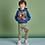 Χαμηλού Κόστους 3d σετ για αγόρι-Αγορίστικα 3D Γραφική Κινούμενα σχέδια Δεινόσαυρος Φούτερ με κουκούλα και παντελόνι Σετ Φούτερ με κουκούλα Σετ Ρούχων Μακρυμάνικο 3D εκτύπωση Καλοκαίρι Φθινόπωρο Ενεργό Μοντέρνα Απίθανο Πολυεστέρας