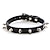 cheap Dog Collars, Harnesses &amp; Leashes-Dog Leashes Pet Collar Anti-Bite Rivet Dog Collar Small And Medium-Sized Leather Dog Chain Dog Collar Manufacturers Wholesale
