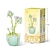 cheap Building Toys-Women&#039;s Day Gifts Compatible With Puzzle Assembly Toys Small Particle Building Blocks Flowers Meat Potted Plants Bouquet Decorations Girls&#039; Gifts Mother&#039;s Day Gifts for MoM