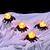 economico Luci di Halloween-ragno di halloween lume di candela led luce notturna atmosfera decorazione oggetti di scena per bar desktop di casa campeggio festa infestata decorazione di halloween